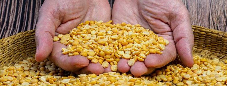 Yellow peas